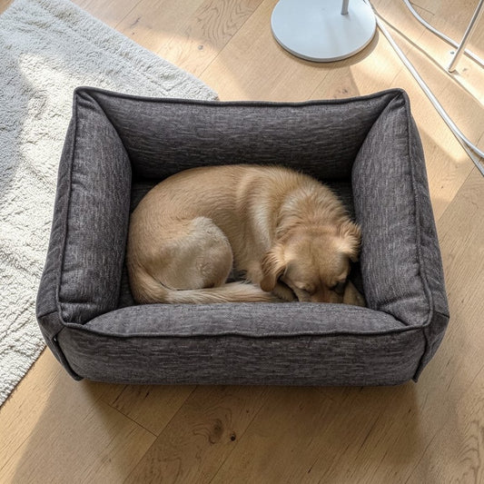 Qulux Orthopedic Memory Foam Large Dog Bed